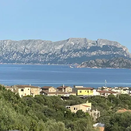 Il Mirto In Fiore Holiday home